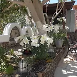 Black * Kamari (Santorini)