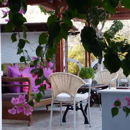 Black Kamari (Santorini)