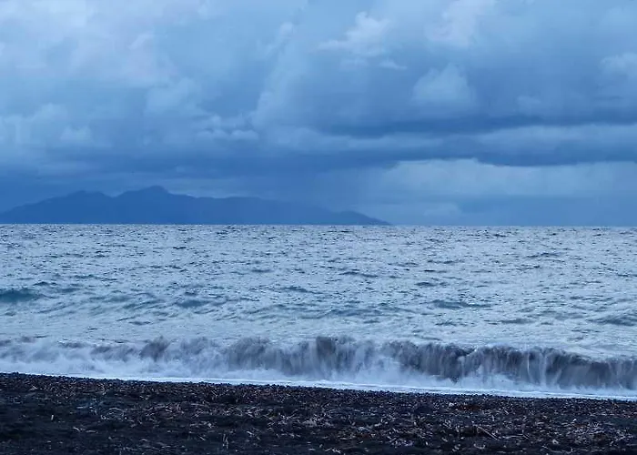 Black Διαμέρισμα